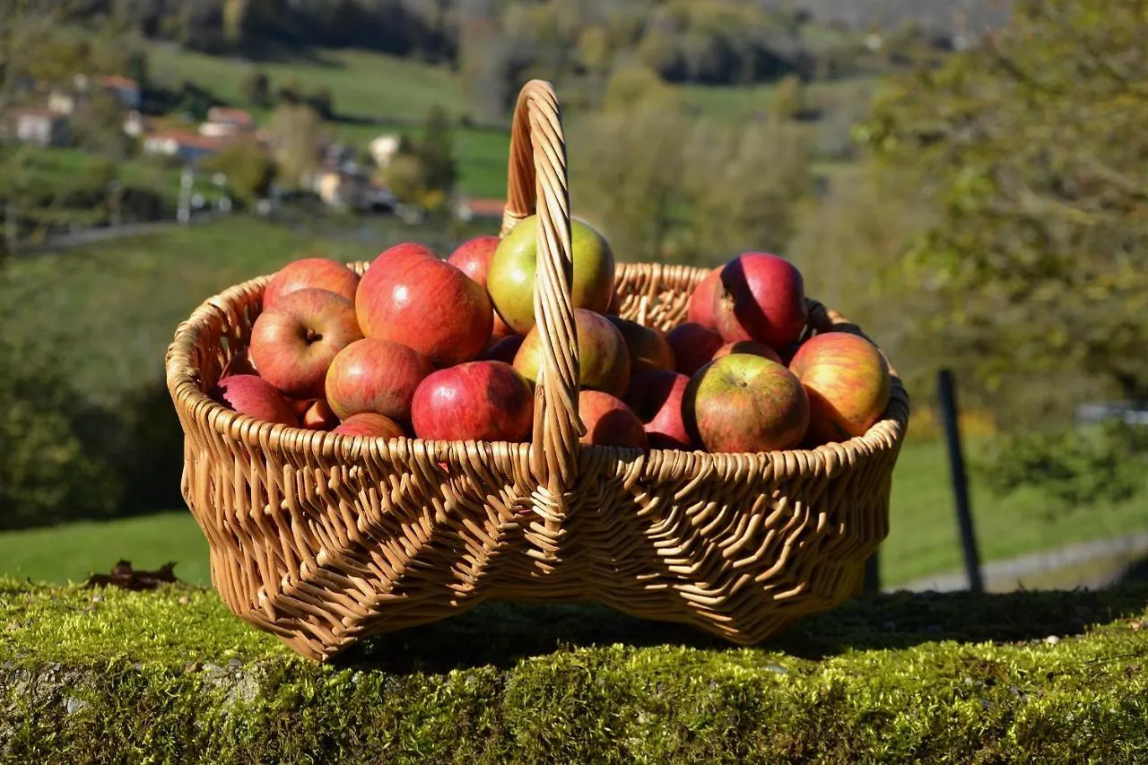 Maison Les Agapanthes Bed & Breakfast Anla France